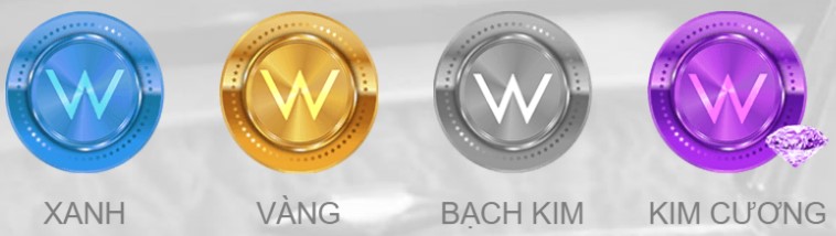 cac cap do clb w vip